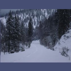 2013-02-02_Rappinschlucht_Lainlalm (115).jpg